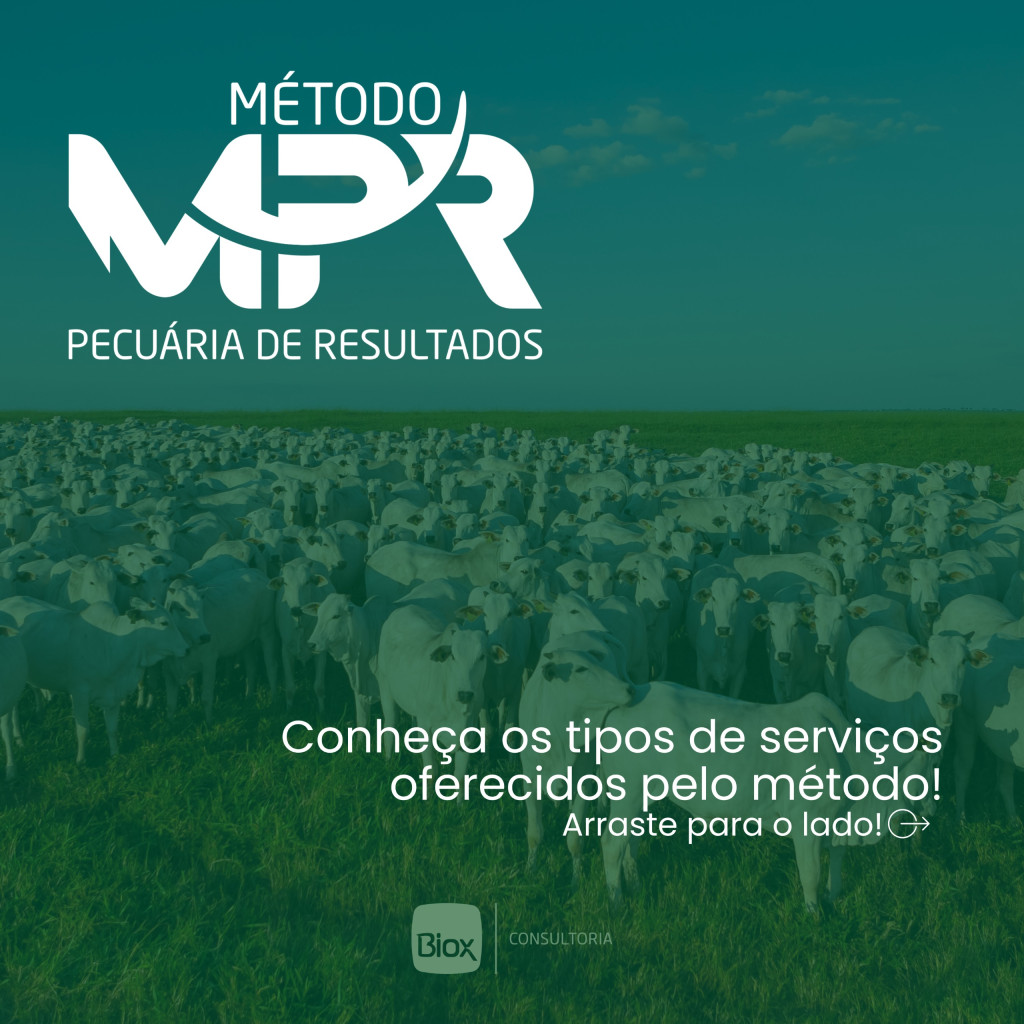 Biox - Serviços MPR 