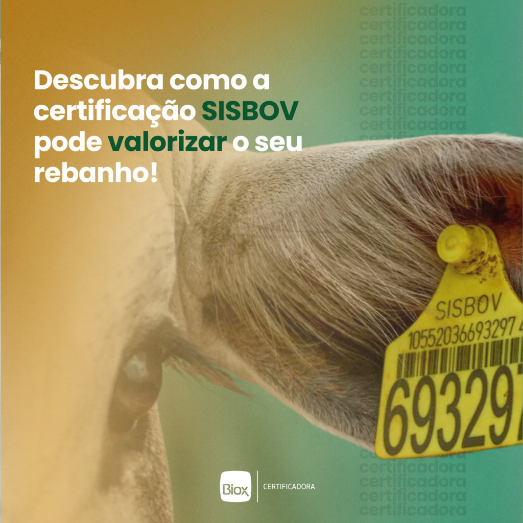 Biox - Certificação SISBOV e valorização do rebanho 