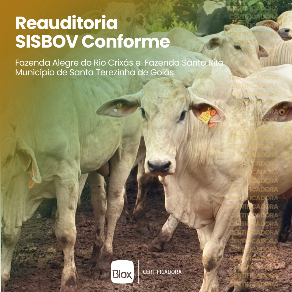 Biox - Reauditoria Conforme 