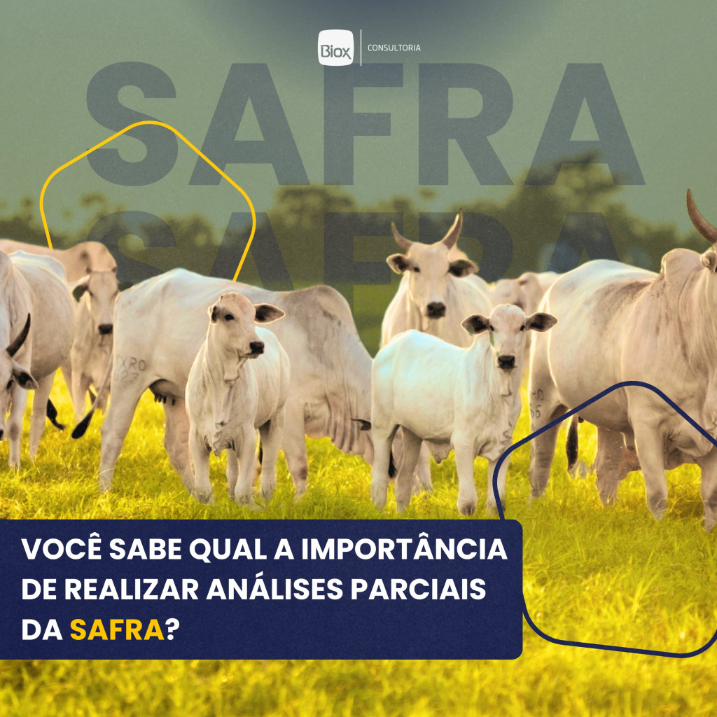 Biox - ANÁLISES PARCIAIS 