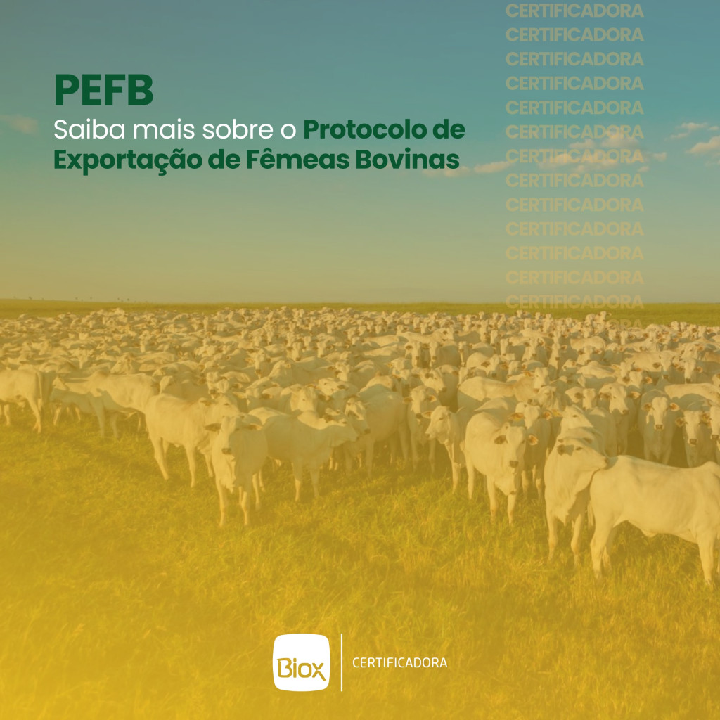 Biox - Protocolo PEFB 